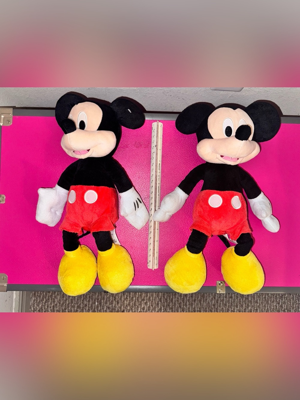 Mickey Mouse Twins